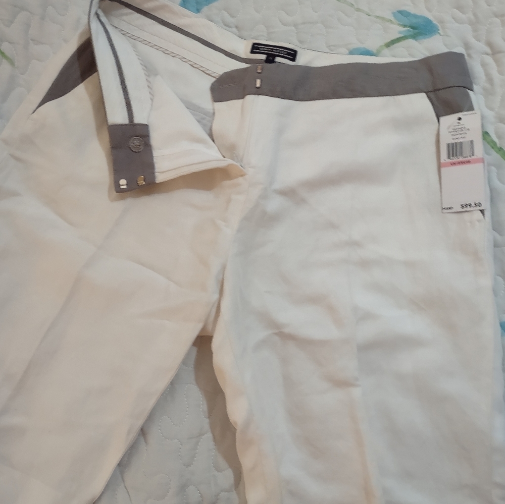 Ladies shorts